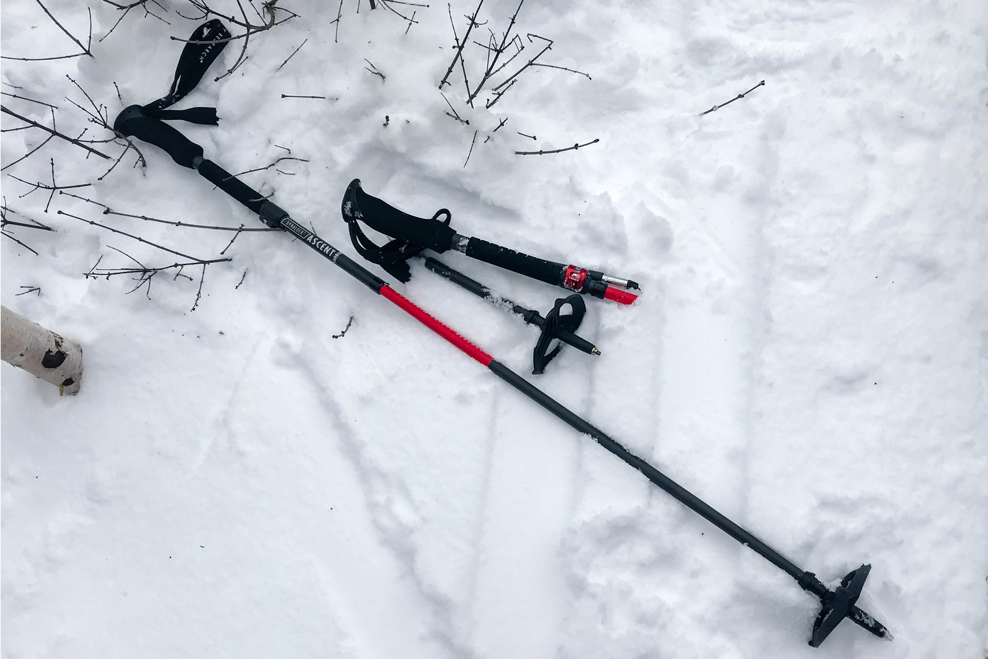 MSR Dynalock Ascent trekking poles